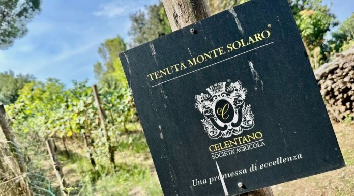 Tra vigne, profumi e l’azzurro di Capri