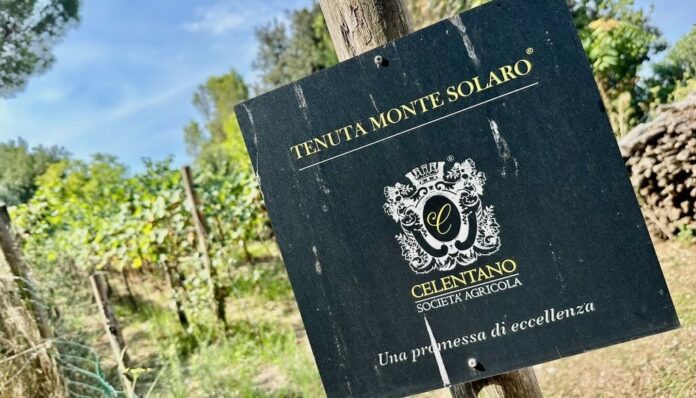 agirola caorese 1C77B0EA-05E5-475F-AAAA-0700AD8A4FF5_1_105_c