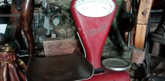 “Cereali e dintorni”. Momento di equilibrio.