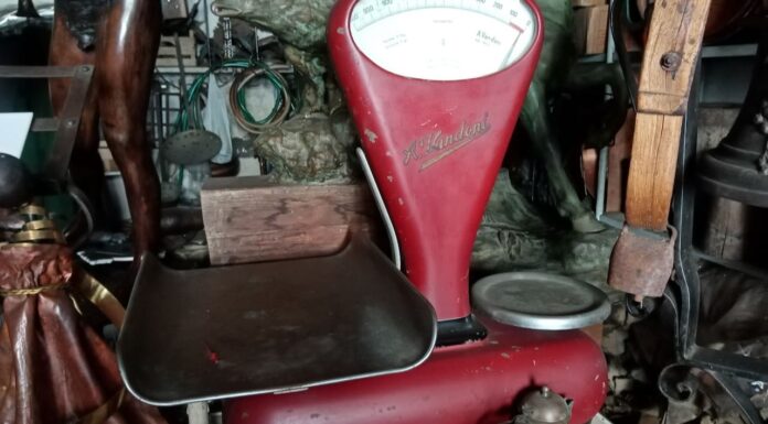 “Cereali e dintorni”. Momento di equilibrio.