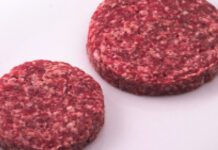 Salmonella spp nell’hamburger di cinghiale. Lo segnala il Ministero della Salute per rischio microbiologico di un lotto a marchio Il Grifone srl