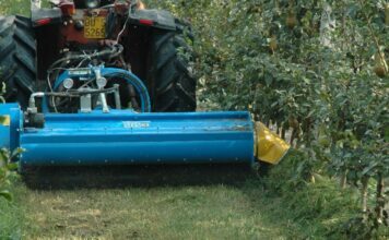 Nobili brevetti. La trincia SDS ideale per le lavorazioni nei vigneti e frutteti inerbiti. (Video)