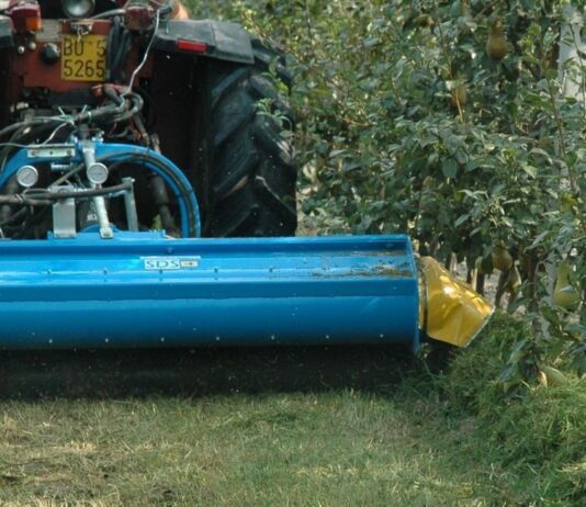 Nobili brevetti. La trincia SDS ideale per le lavorazioni nei vigneti e frutteti inerbiti. (Video)