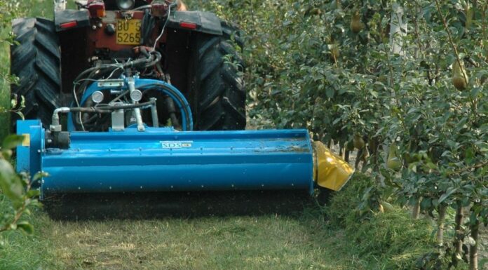 Nobili brevetti. La trincia SDS ideale per le lavorazioni nei vigneti e frutteti inerbiti. (Video)