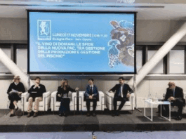 Un viaggio nell’Italia che produce, resiste e incanta al Mercato dei Vini FIVI 2025