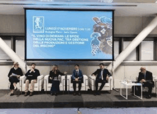 Un viaggio nell’Italia che produce, resiste e incanta al Mercato dei Vini FIVI 2025