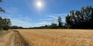 “Cereali e dintorni”. I mercati hanno digerito i “conflitti”