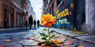 Verso il 2026 con rinnovata speranza…