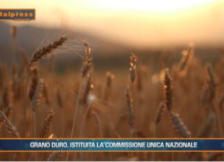 TG AGRIFOOD del 21 gennaio 2026 — Prezzi alimentari alle stelle, interviene l’Antitrust
