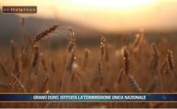 TG AGRIFOOD del 21 gennaio 2026 — Prezzi alimentari alle stelle, interviene l’Antitrust