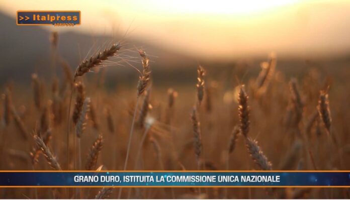 2 Grano Duro commissione naz