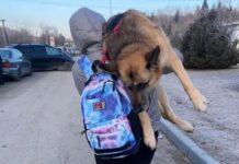 Ora d’aria. Il silenzio discreto del lavoro.