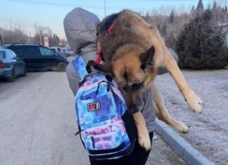 Ora d’aria. Il silenzio discreto del lavoro.