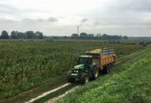 “Cereali e dintorni”. Il 2026 come sarà?