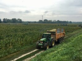 “Cereali e dintorni”. Il 2026 come sarà?