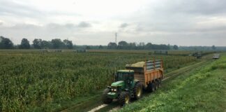 “Cereali e dintorni”. Il 2026 come sarà?