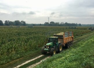 “Cereali e dintorni”. Il 2026 come sarà?