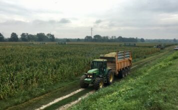 “Cereali e dintorni”. Il 2026 come sarà?