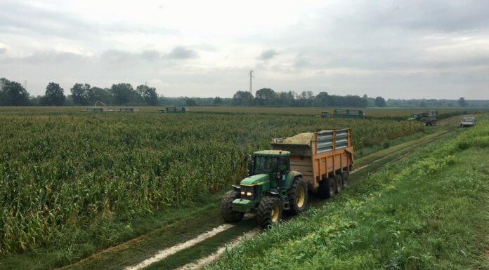 “Cereali e dintorni”. Il 2026 come sarà?