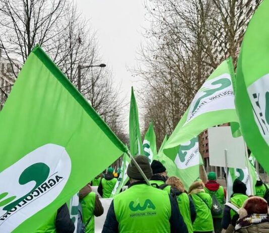 Cia Reggio guida la protesta a Strasburgo: