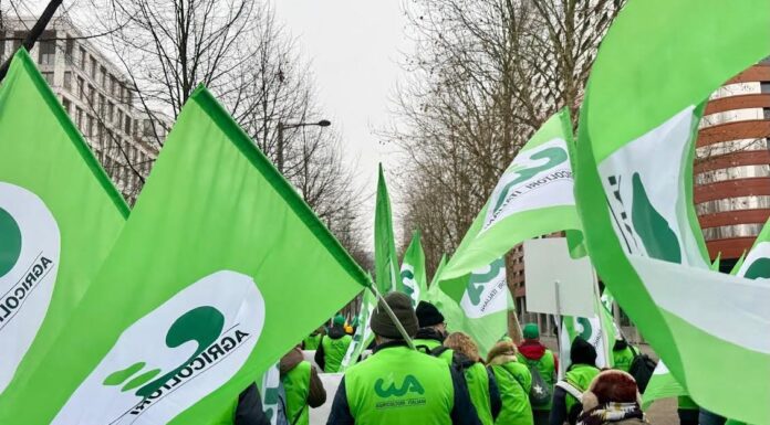 Cia Reggio guida la protesta a Strasburgo: