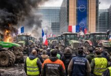 Cibo senza regole, agricoltori senza futuro: l’Europa tradisce i suoi produttori