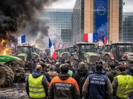 Cibo senza regole, agricoltori senza futuro: l’Europa tradisce i suoi produttori