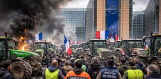 Cibo senza regole, agricoltori senza futuro: l’Europa tradisce i suoi produttori