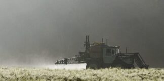 Mercosur, il veleno dei pesticidi legali in Sudamerica.