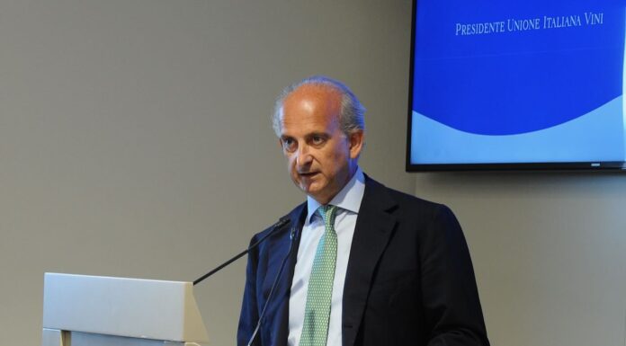 MERCOSUR, UIV: soddisfazione per via libera. Bene Governo, finalizzate condizioni favorevoli