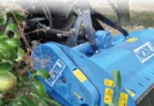 Da Verona, Nobili presenta la BV 10