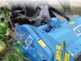 Da Verona, Nobili presenta la BV 10