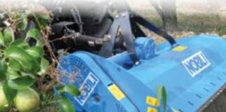 Da Verona, Nobili presenta la BV 10