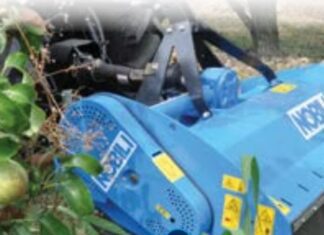 Da Verona, Nobili presenta la BV 10