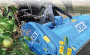 Da Verona, Nobili presenta la BV 10