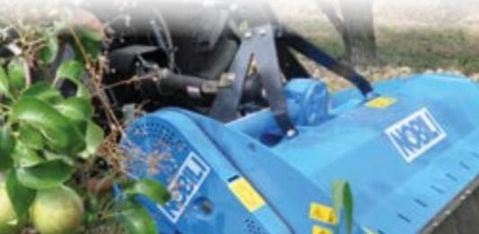 Da Verona, Nobili presenta la BV 10