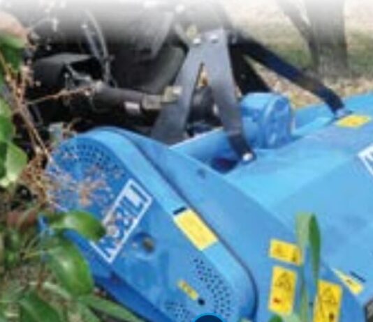 Da Verona, Nobili presenta la BV 10