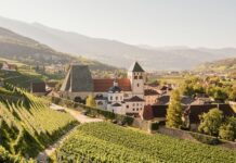 Dalle vigne al chiostro: il fascino senza tempo dell’Abbazia di Novacella