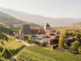 Dalle vigne al chiostro: il fascino senza tempo dell’Abbazia di Novacella