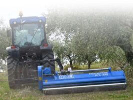 Nobili BVL serie 100. Specializzata in frutteti e oliveti.