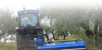 Nobili BVL serie 100. Specializzata in frutteti e oliveti.