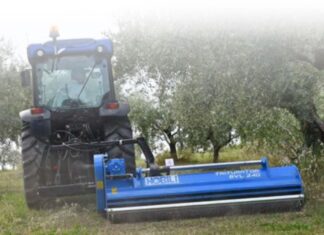 Nobili BVL serie 100. Specializzata in frutteti e oliveti.