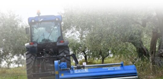 Nobili BVL serie 100. Specializzata in frutteti e oliveti.