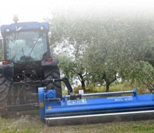 Nobili BVL serie 100. Specializzata in frutteti e oliveti.