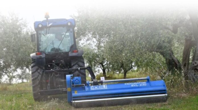 Nobili BVL serie 100. Specializzata in frutteti e oliveti.