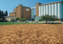 Molino Grassi NEWS. Estrema volatilità delle materie prime.