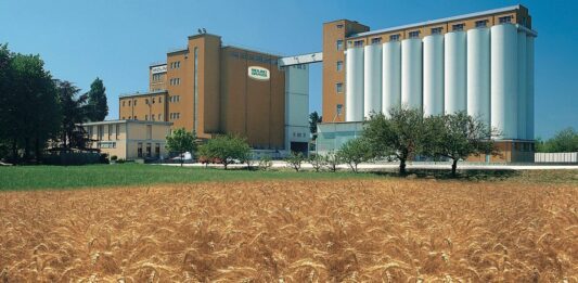 Molino Grassi NEWS: uno sguardo alla 28esima settimana.