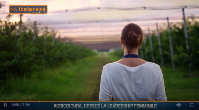 TG AGRIFOOD del 11 marzo 2026 — Agricoltura, cresce la leadership femminile … (Video)