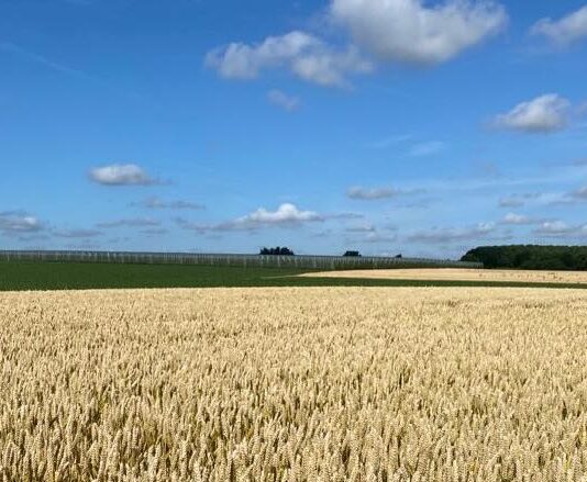 “Cereali e dintorni”. Tutto in crescita!