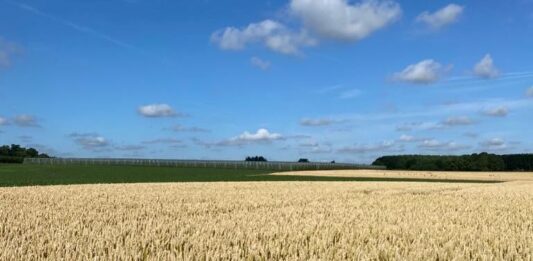 “Cereali e dintorni”. Nuova guerra nuove variazioni
